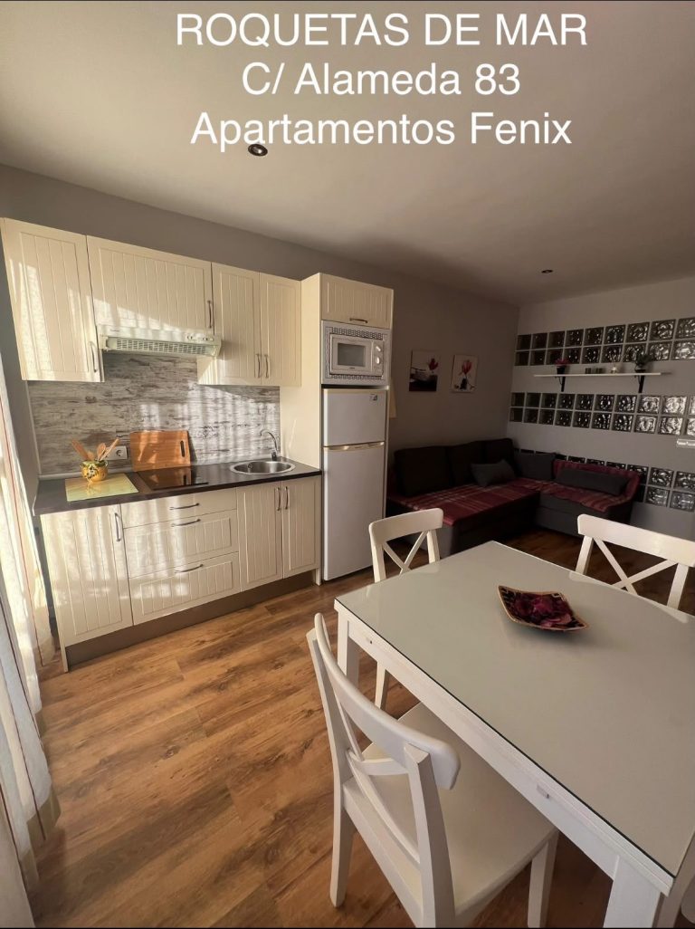 Cocina y salón del Apartamento Standard
